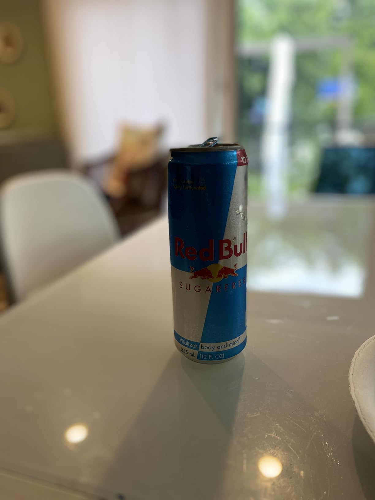 Red Bull Sugar Free Energy Drink with 114mg Caffeine plus Taurine & B Vitamins, 12 Fl Oz, Pack of 24 Cans